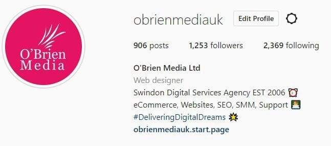 Instagram Bio Example