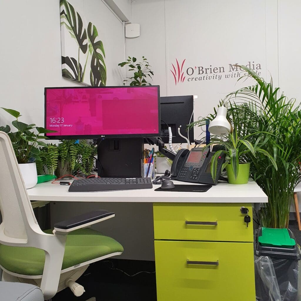 Modern O'Brien Media desk setup featuring dual monitors, indoor plants, and ergonomic chair in Swindon office