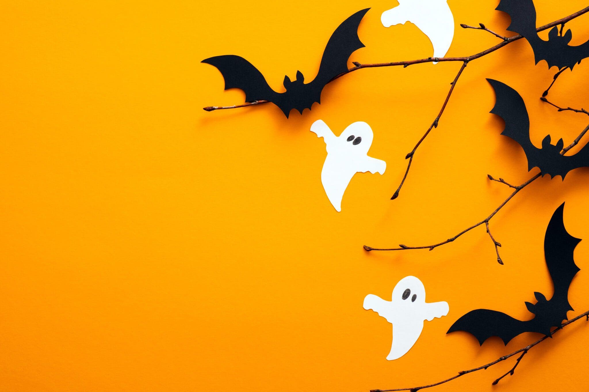 Paper bats and ghosts hanging from twigs on a bright orange background – Halloween decoration concept