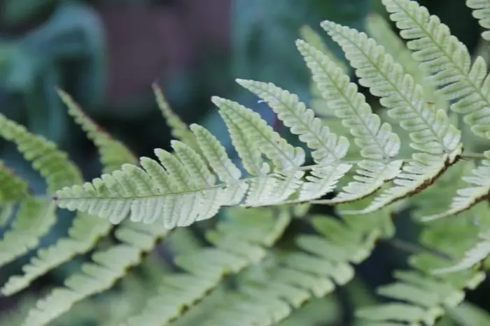 Portrait of Chris, sharing his personal story for PTSD Awareness Day